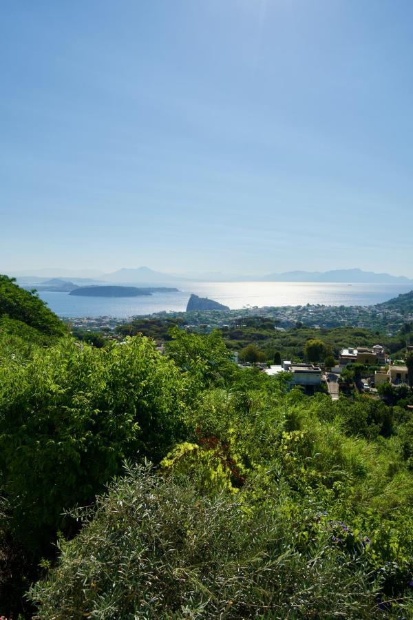 Relais Villa Ettore Barano dʼIschia Eksteriør bilde