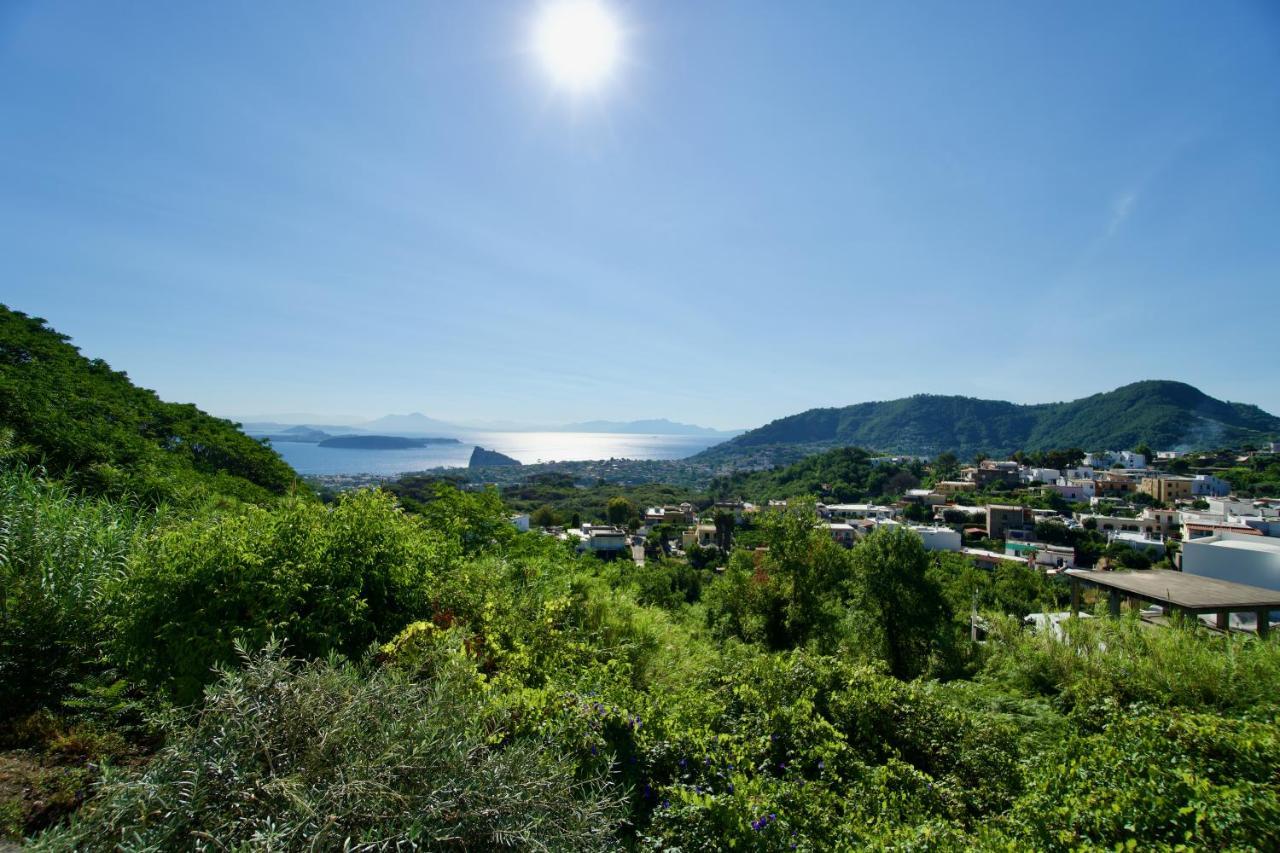 Relais Villa Ettore Barano dʼIschia Eksteriør bilde